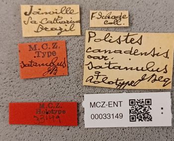 Media type: image;   Entomology 33149 Aspect: labels